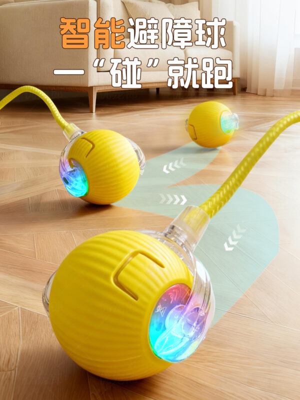 主图-01 Automatic dog walking ball