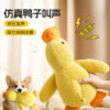 Dog toys with plush sound