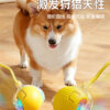 主图-04 Automatic dog walking ball