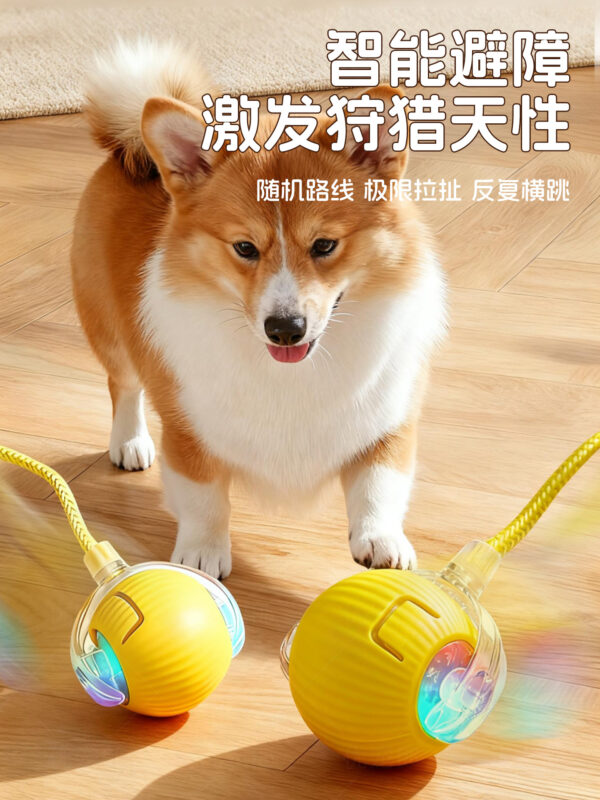 主图-04 Automatic dog walking ball