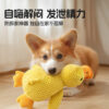 Dog toys with plush sound