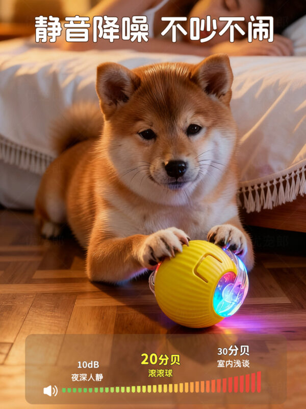 主图-05 Automatic dog walking ball